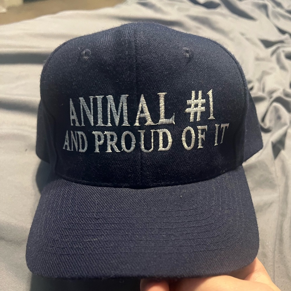 Teal and Navy Cap